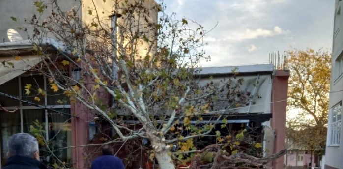 Πλάτανος 15 μέτρων έπεσε στην σκεπή καφετέριας